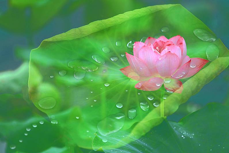 醫(yī)療器械網(wǎng)：失眠該怎么辦？